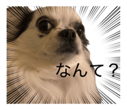 856770493