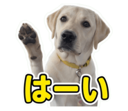 856770742