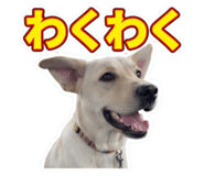 856770743
