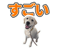 856770752