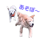856770767