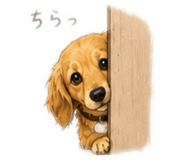 856770968