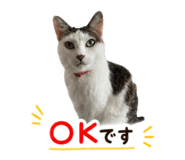 856771070
