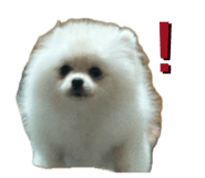 856771114