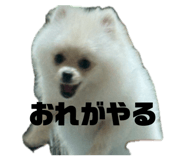 856771115