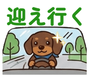 856771305