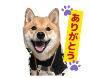 856771745