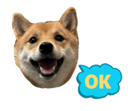 856771746