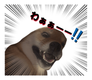 856771749
