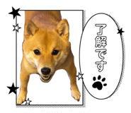 856771750