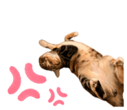 856772123