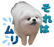 856772248