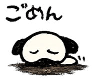 856772404