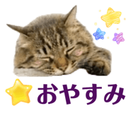 856772822