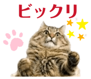 856772832