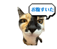 856772922