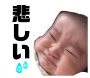 856772944