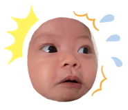856773058