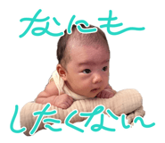 856773196