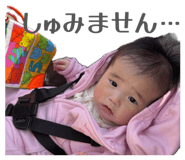 856774115