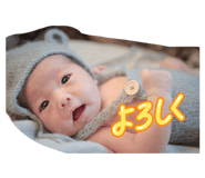 856774375