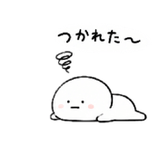 856774404