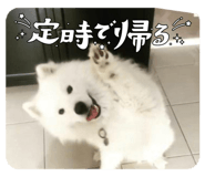 856774980