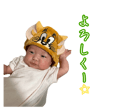 856775578