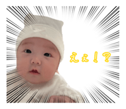 856775581