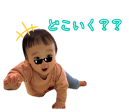 856775589