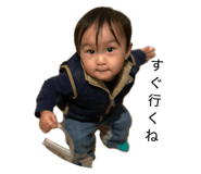 856775684
