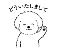 856777190