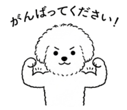 856777199