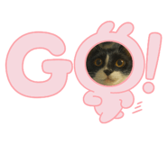 856777213