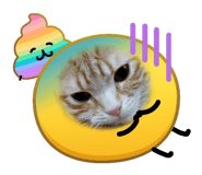 856777233