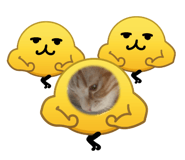 856777236