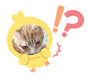 856777239