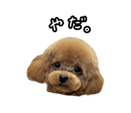 856777242