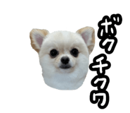 856777244