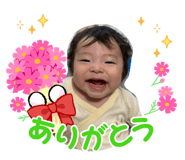 856777337