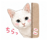 856777475