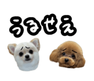 856777577