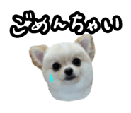 856777579