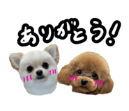 856777582