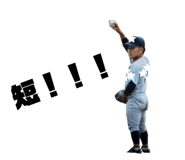 856778182
