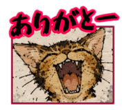 856779705