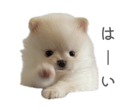 856780001