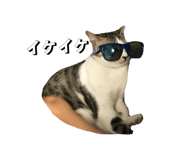 856780343