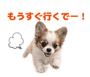 856780583