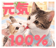 856781356